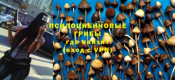 jwh Гусиноозёрск