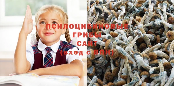 PSILOCYBIN Гусев