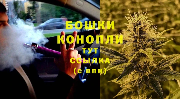 PSILOCYBIN Гусев