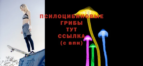 PSILOCYBIN Гусев