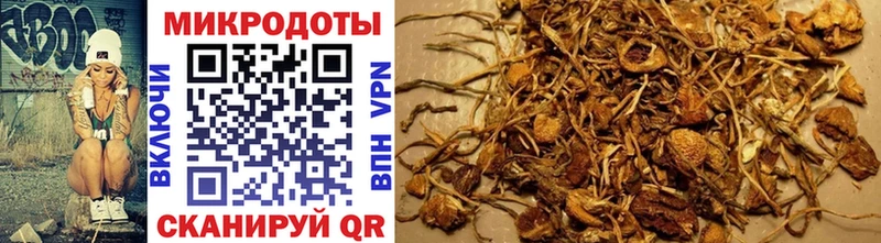 Псилоцибиновые грибы мицелий  Купить  Котельниково 